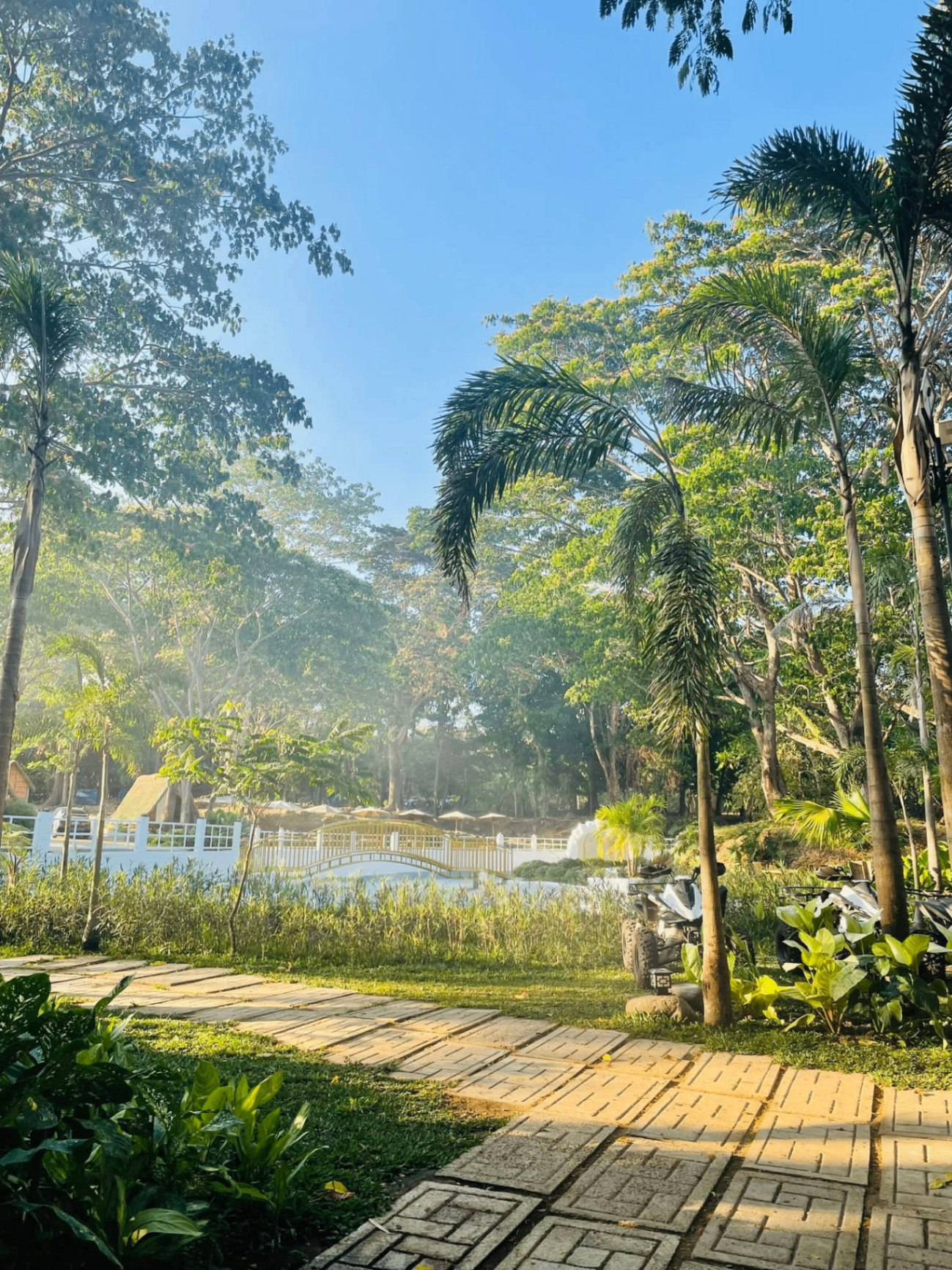 Garden pathway leading to the pool